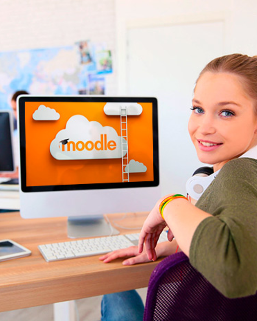 Moodle Illustration